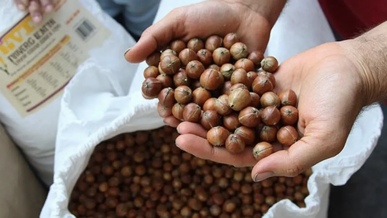 Piyasalarda İstikrar İçin Yeni Adımlar ve Stoklar Güvende